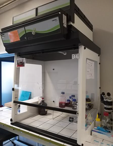 Plateau technique d’histologie