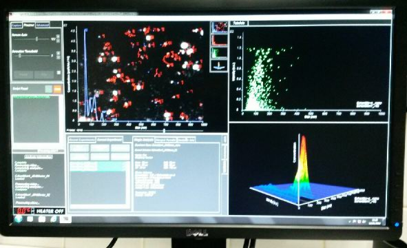 Caractérisation physique des nanoparticules