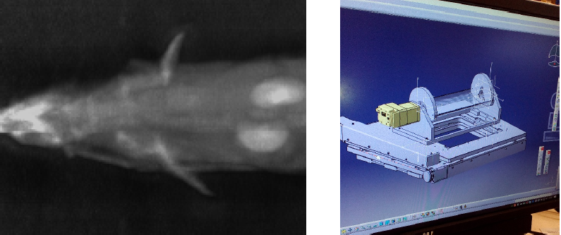 Plateforme OptiRAD
