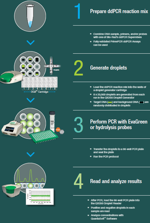 Droplet digital PCR